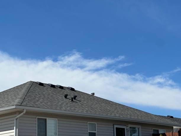 Best Roof Maintenance and Cleaning  in Lehighton, PA